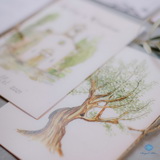 Explore Our Excursions